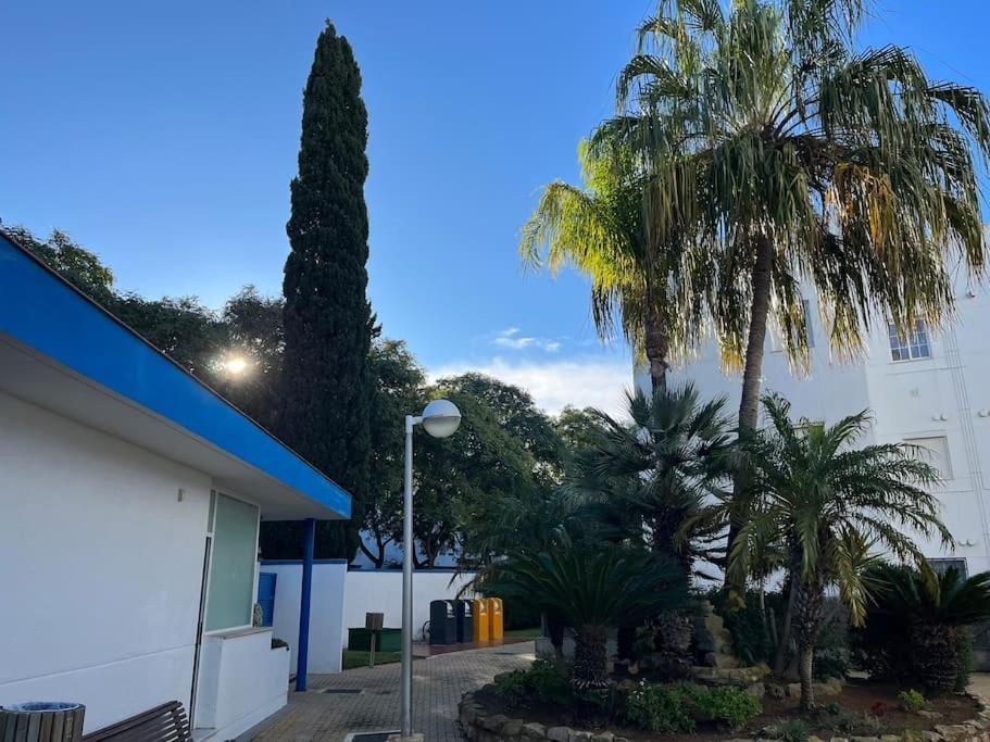 Apartamento En Costa Ballena, Urb. Playa Ballena Cádiz Eksteriør billede
