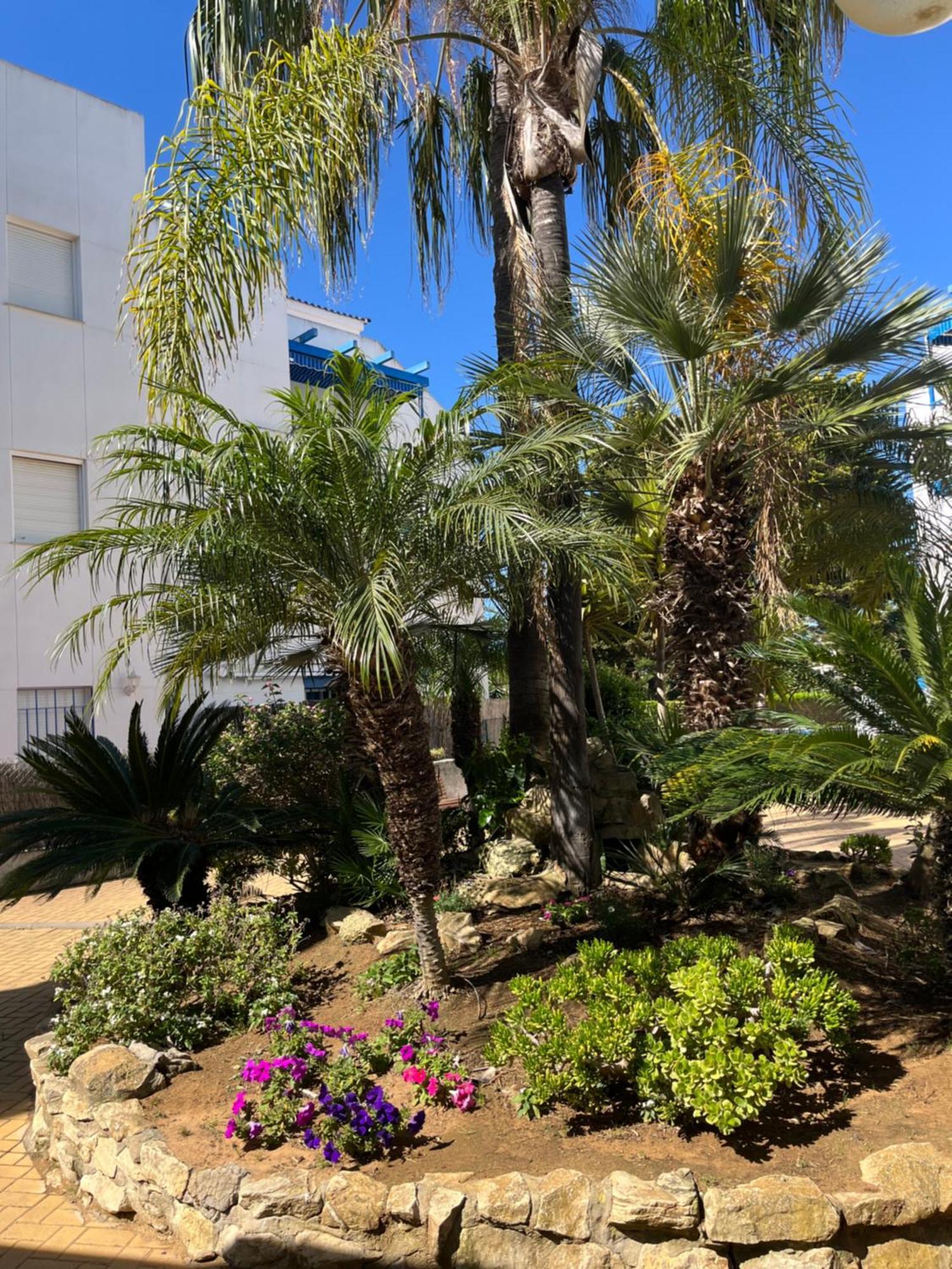 Apartamento En Costa Ballena, Urb. Playa Ballena Cádiz Eksteriør billede